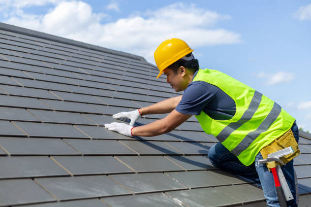 Best Roof Gutter Cleaning  in Morton Grove, IL
