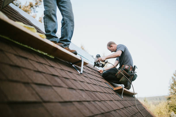 Best Metal Roofing Contractor  in Morton Grove, IL